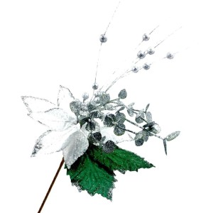 BICO DE PAPAGAIO FLOR NATALINA